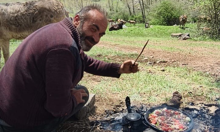 Son Gelişme: Sivas Şarkışla'da hayvan otlatan çobana yıldırım isabet etti, yaşamını yitirdi. - Son Dakika Bilg