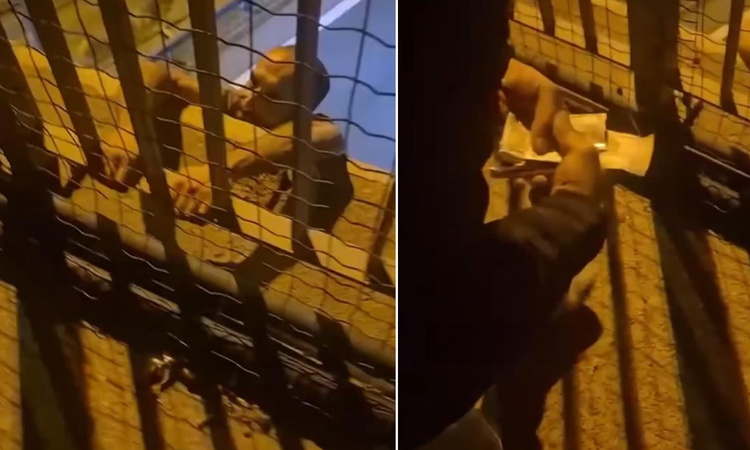 Son Gelişme: Trafik cezası sonrası intihara kalkıştı! İkna etmeye çalışan kişinin sözleri şaşırttı: Gelişmeler