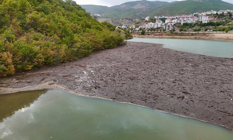 Son Gelişme: Tunceli'de Munzur ve Pülümür'ün taşıdığı atıklar Uzunçayır Baraj Gölü'nde birikti | İşte Tüm Ayrı