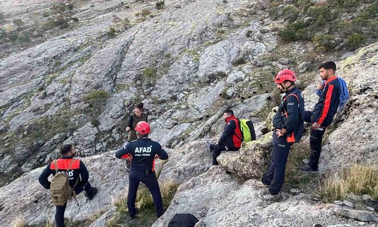 Son Gelişme: Tunceli'de sarp kayalıklarda günlerdir mahsur kalan keçileri AFAD kurtardı - Son Dakika Bilgileri