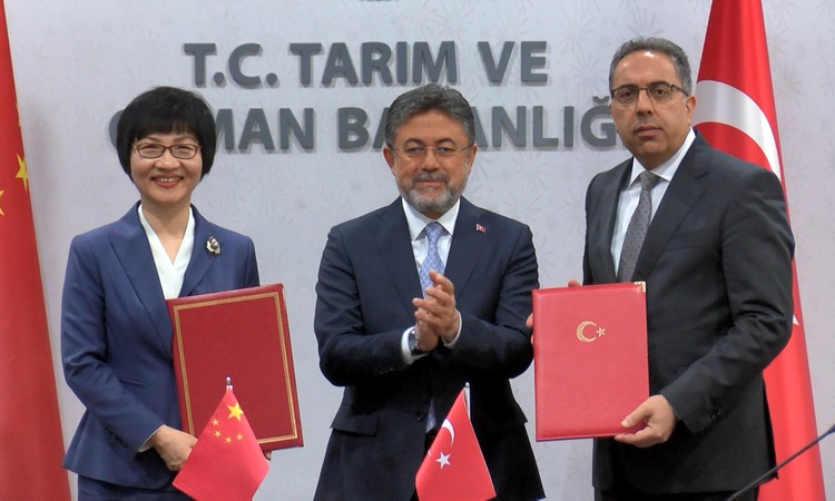 Son Gelişme: Türkiye ile Çin arasında defne ihracatı protokolü: Gelişmeler Takip Ediliyor