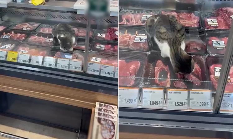 Son Gelişme: Türkiye'nin ünlü zincir marketinde pes dedirten görüntü! ve Merak Edilenler