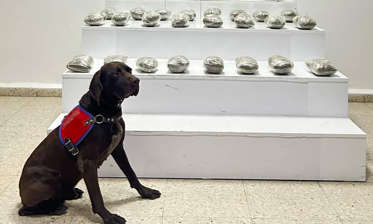 Son Gelişme: Van Başkale'de 10 kilo 111 gram esrar ele geçirildi, 3 şüpheli yakalanarak gözaltına sevk edildi