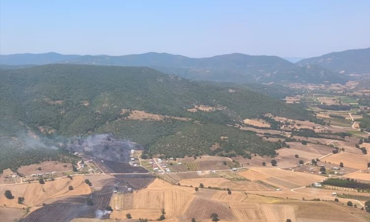 Son Gelişme: Yenişehir'de orman yangını kontrol altına alındı - Son Dakika Bilgileri