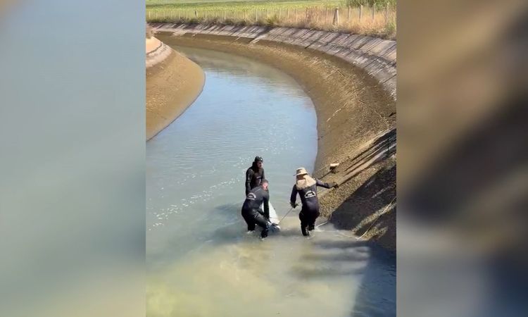 Sulama kanalında kaybolan 14 yaşındaki Yusuf’un cansız bedeni bulundu ve Merak Edilenler