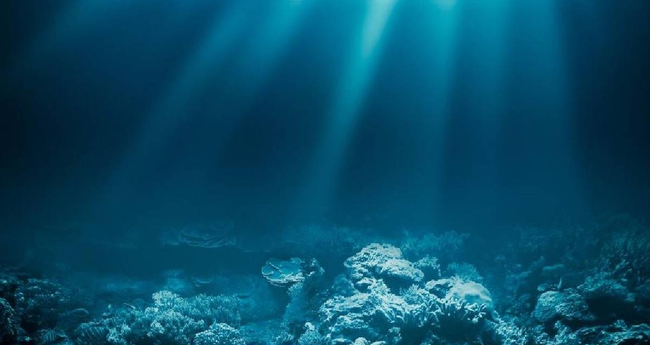 A terrible truth was revealed at the bottom of the water: It could lead to disaster - Latest News