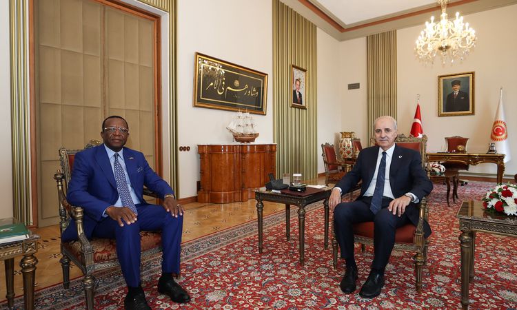 Kritik Açıklama: TBMM Başkanı Kurtulmuş, Kamerun Büyükelçisi'ni kabul etti - Son Dakika Haberleri