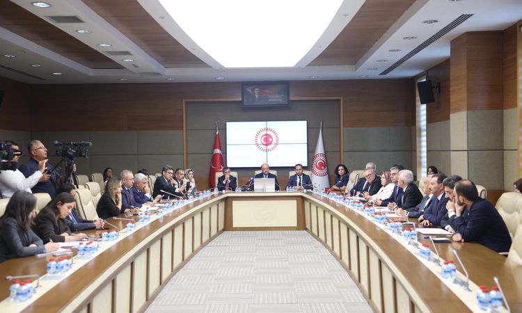 TBMM Sağlık, Aile, Çalışma ve Sosyal İşler Komisyonu'nda, 'Gazze' konulu toplantı vuku buldurildi - Son Dakika