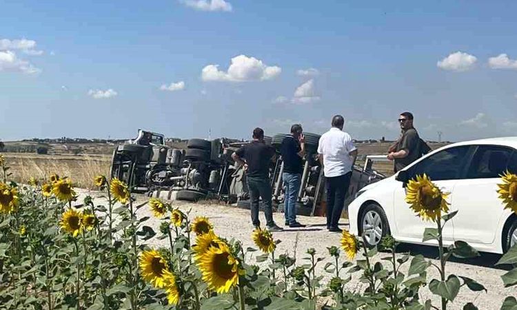 The driver of the truck that overturned in Tekirdağ was injured - News
