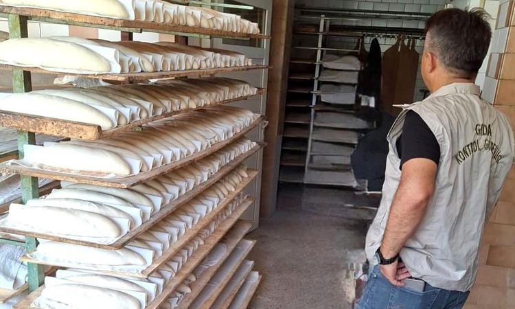 Gündemden Son Bilgiler: Tekirdağ'da ekmek üretim yerlerinde eş zamanlı denetim - Haberleri: Gelişmeler Takip E
