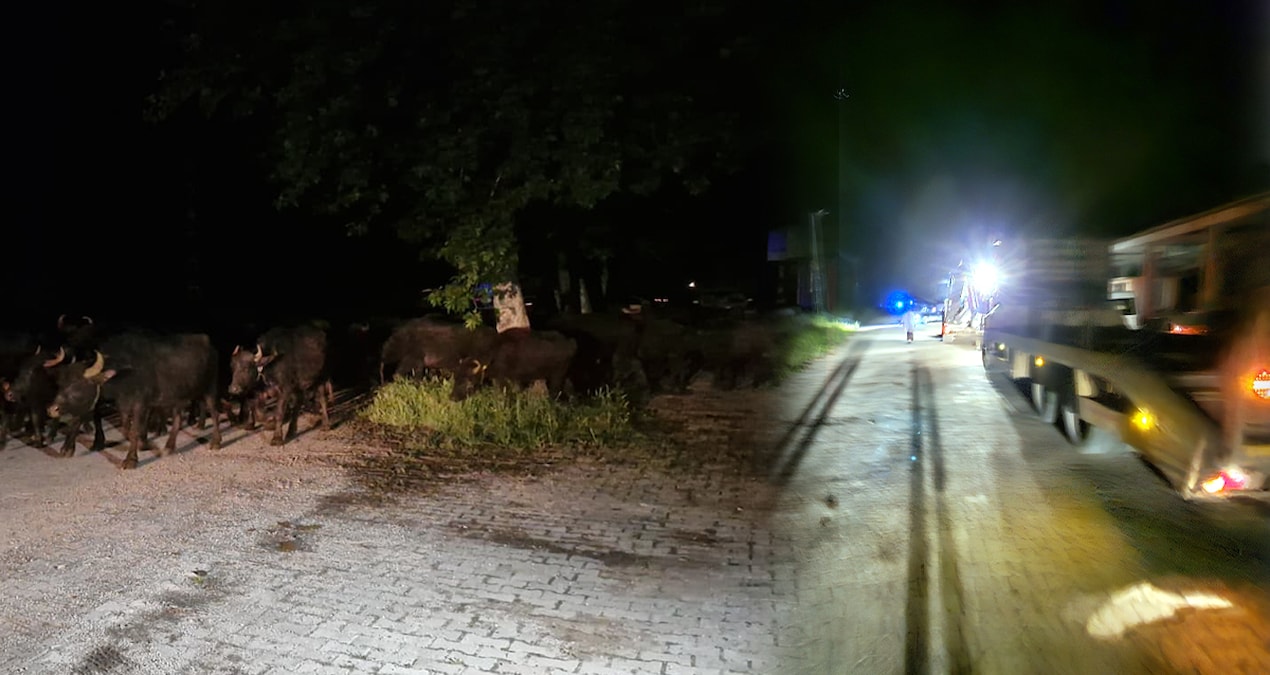 Kritik Açıklama: Tokat’ta bir köy tahliye ediliyor! - Son Dakika