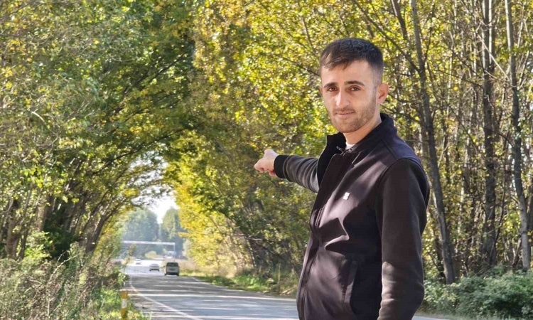 Tokat'ta Pazar-Zile karayolundaki kavak ağaçları sonbaharda doğal tünel oluşturdu ve Merak Edilenler