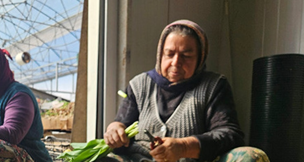 Türkiye'de bir ilk! Yılda sadece iki güne özel suda üretiliyor - Son Dakika Haberleri - Son Dakika Bilgileri
