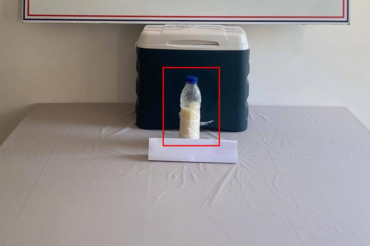500 grams of scorpion venom was seized in Yalova - Breaking News