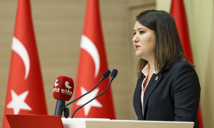 Kritik Açıklama: YENİ Partili Gökçen, Gezi tutuklularının gerekçesiz sevkini Meclis gündemine taşıdı - Son Dak