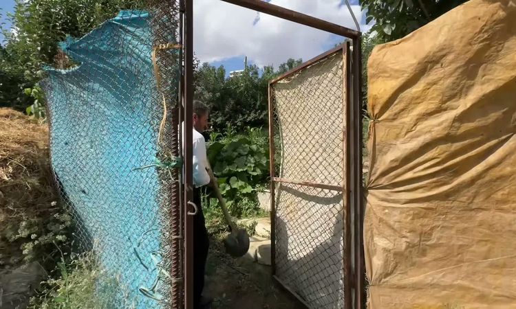 Kritik Açıklama: Yılın Çiftçisi Ali Altıntaş'tan Sera Desteği Çağrısı - Son Dakika - Son Dakika Bilgileri