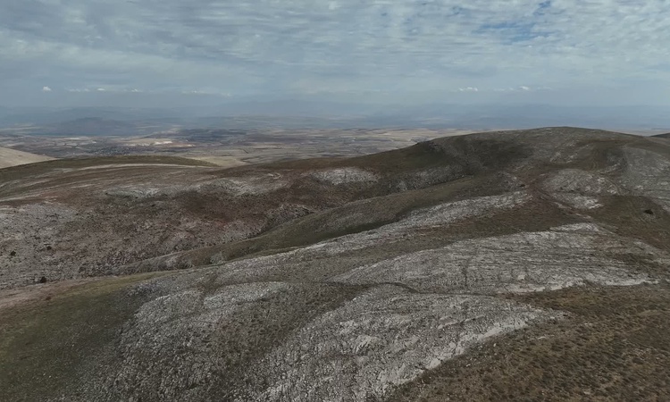 Yozgat Çayıralan'da 60-70 yılkı atı jandarma devriyeleriyle korunuyor