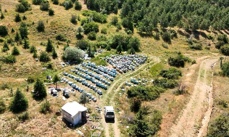 Yozgat's rich vegetation gave hope to beekeepers - News