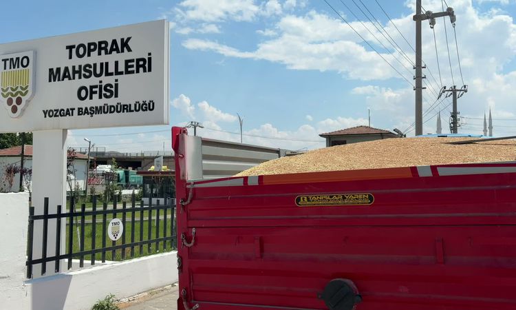 Kritik Açıklama: Yozgat'ta çiftçinin hububat isyanı: 'Zararına çiftçilik yapıyoruz' - Son Dakika | İşte Tüm Ay