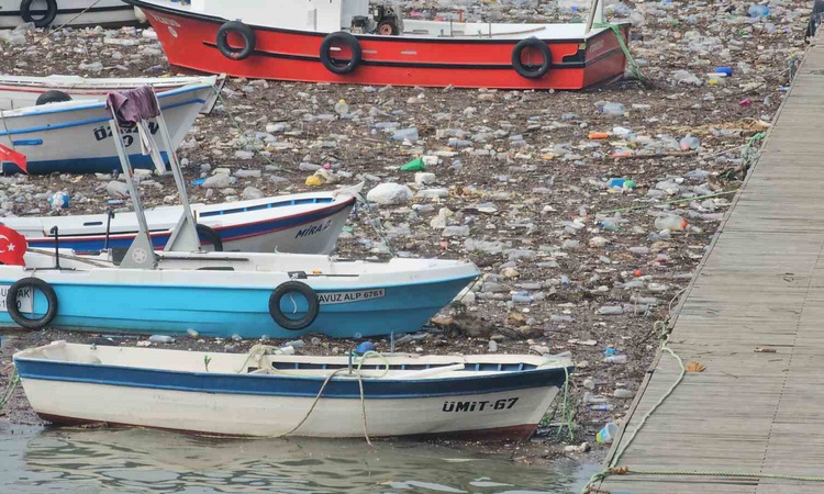 Zonguldak Limanı'nda derelerin taşıdığı atıklar balıkçı teknelerini sardı: Gelişmeler Takip Ediliyor